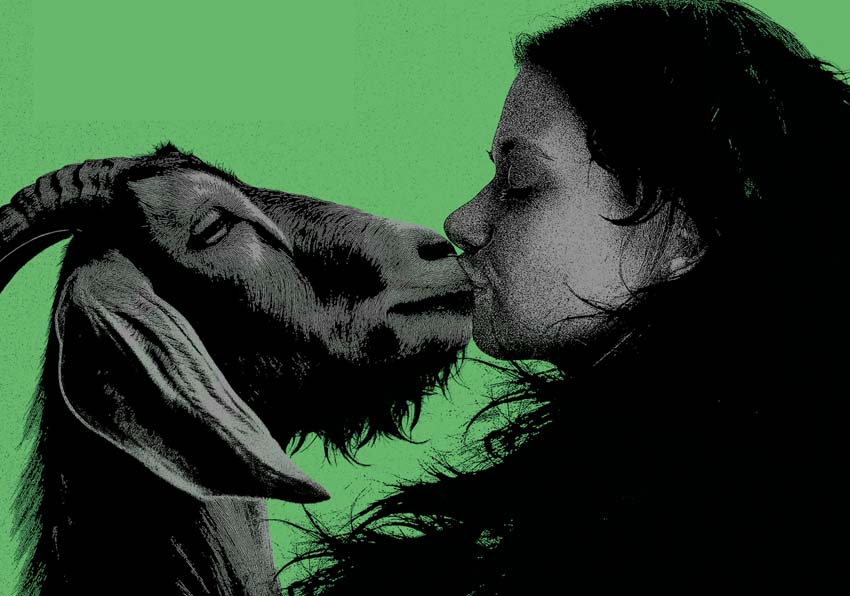 A woman and a goat kissing